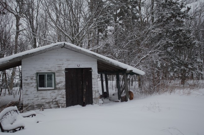 Wintershed